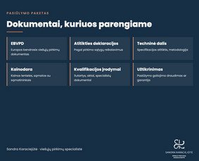 Paslaugos verslui - Vie&scaron;ųjų pirkimų pasiūlymų rengimas ir konkursų analizė - 1