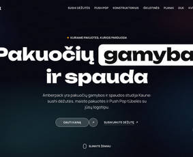 Paslaugos verslui - Internetinių puslapių kūrimas / dizaino pie&scaron;imas / tvarkymas - 2