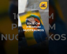Reklamos gamyba - Vizitinės kortelės, A6 A3 spauda ir Premium nuotraukų gamyba - 4