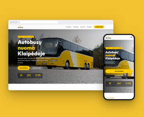 Svetainė per 3–14 d. Fiksuota kaina, 12 mėn. garantija / Pulseweb / Darbų pavyzdys ID 4598640