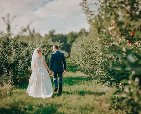 Jūsų šventės fotografijos tikros jausmingos šiltos / Švelnus Vėjas / Darbų pavyzdys ID 1002323