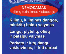 Minkštų baldų, kilimų, generalinis patalpų valymas / Artikas valymo paslaugos / Darbų pavyzdys ID 1003149