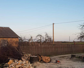 Arboristo paslaugos. Medžių pjovimas, kelmų naikinimas / Mantas Gerulis / Darbų pavyzdys ID 1008121
