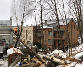 06 55 55 800 Medžių Pjovimas Ir Genėjimas Visoje Lietuvoje - Apleistų sklypų tvarkymas - 2 Apleistų sklypų tvarkymas - 06 55 55 800 Medžių Pjovimas Ir Genėjimas Visoje Lietuvoje - 2