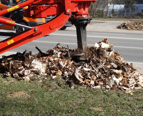KELMŲ NAIKINIMAS. KELMĄ GALIME IŠGRĘŽTI, IŠRAUTI ARBA PAŽEMINTI. IŠRAUTUS KEMUS GALIME IŠVEŽTI ARBA UŽKASTI. GAVĘ NUOTRAUKAS GALĖSIME TIKSLIAI ĮVERTINTI DARBŲ KAINĄ