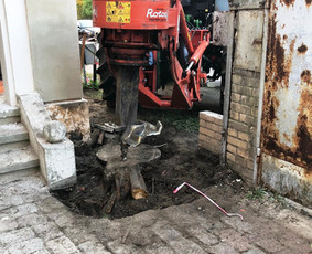 06 55 55 800 Medžių Pjovimas Ir Genėjimas Visoje Lietuvoje / MEDŽIŲ PJOVIMAS / Darbų pavyzdys ID 1014145