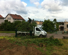 ŠAKŲ IŠVEŽIMAS MAŽAIS SAVIVARČIAIS, KURIE GALI PRIVAŽIUOTI Į SUNKIAI PRIVAŽIUOJAMAS VIETAS. sENAMIESTIS, BROMOS, MAŽI SODAI. Į VIENĄ SAVIVARTĮ TELPA 3 - 5 VAISMEDŽIAI ARBA 1 - 2 EGLĖS
