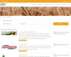 Skelbimų portalas. Reprezentacinių svetainių kūrimas su Wordpress.