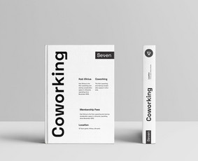 Maketavimas - Logotipo ir vientisos vizualinės tapatybės kūrimas &ndash; 15 m. - 3