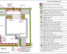 Aplinkos projektai, 3d vizualizacijos, apželdinimas / žiedų gama / Darbų pavyzdys ID 1016757