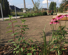 Kiemo, aplinkos apželdinimas - Apželdinimo sprendimai - 3