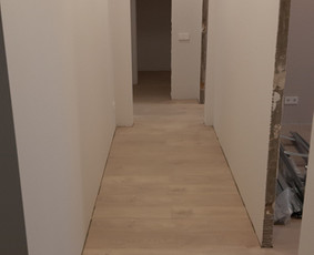 Vidaus apdailos darbai / Tomas / Darbų pavyzdys ID 1026455