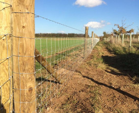 Tinklinės tvoros - Tvoros ,vartai ,sodų įranga ,montavimo medžiagos ,montavimas - 1