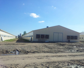 Statybos, apdaila - Angarai iš pusrėmių - 2