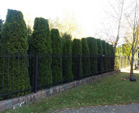 Arboristo paslaugos. Medžių pjovimas, kelmų naikinimas / Mantas Gerulis / Darbų pavyzdys ID 1054551