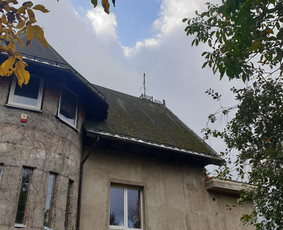 Arboristo paslaugos. Medžių pjovimas, kelmų naikinimas / Mantas Gerulis / Darbų pavyzdys ID 1054569