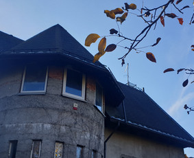 Arboristo paslaugos. Medžių pjovimas, kelmų naikinimas / Mantas Gerulis / Darbų pavyzdys ID 1054571