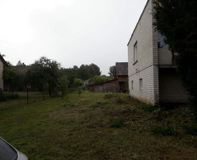 Avarinių medžių pjovimas/ žolės pjovimas. / Arboristas Egidijus / Darbų pavyzdys ID 1059947