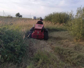 Avarinių medžių pjovimas/ žolės pjovimas. / Arboristas Egidijus / Darbų pavyzdys ID 1059955