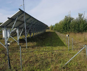 Avarinių medžių pjovimas/ žolės pjovimas. / Arboristas Egidijus / Darbų pavyzdys ID 1059957