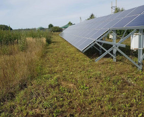Avarinių medžių pjovimas/ žolės pjovimas. / Arboristas Egidijus / Darbų pavyzdys ID 1059959