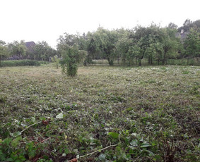 Apleistų sklypų ,peraugusios žolės pjovimas