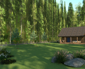 Kiemo, aplinkos apželdinimas - Aplinkos tvarkymas, apželdinimas - 4