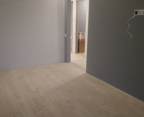 Vidaus apdailos darbai Kaune / Aleksandras / Darbų pavyzdys ID 1068071