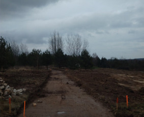 Statybos siuksliu isvezimas,griovimo darbai / Danius Subac / Darbų pavyzdys ID 1071509