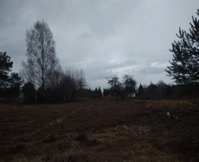 Statybos siuksliu isvezimas,griovimo darbai / Danius Subac / Darbų pavyzdys ID 1071511