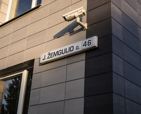 Naujos kartos seo ir Google Ads verslo augimui / Tomas Morkūnas - FAD / Darbų pavyzdys ID 1071559