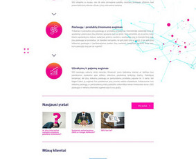Internetinė svetainė seo paslaugas teikiančiai įmonei - www.seospecai.lt