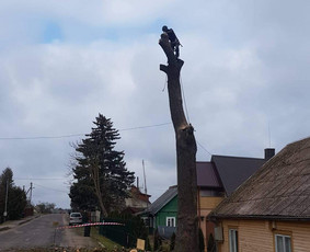 Arboristo paslaugos. Medžių pjovimas, kelmų naikinimas / Mantas Gerulis / Darbų pavyzdys ID 1082101
