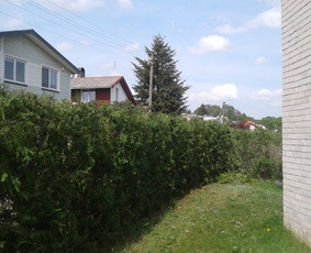 Apželdinimas, Projektavimas, Genėjimas, Vejos / AugalųGanytojai/V. Paičius / Darbų pavyzdys ID 1095505