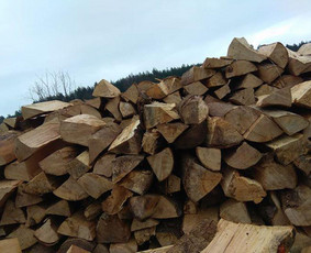 Aplinka, sodas - Skaldytos Sausos Malkos - 1