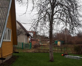 Vejos įrengimas,gėlynų projektavimas, įrengimas / Arturas M. / Darbų pavyzdys ID 1104415