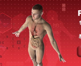 Lauko reklamos kūrimas - Reklamos dizaino ir maketavimo paslaugos - 2