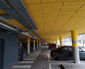 Nudažyta lubos