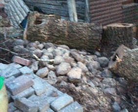 Arboristo Paslaugos.avarinių medžių pjovimas-aplinkos darbai / Rolandas Surdokas / Darbų pavyzdys ID 1128327