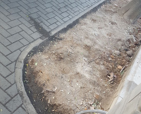 Kokybiškas Trinkelių klojimas, gerbūvio darbai / MB Ponas Trinkelė / Darbų pavyzdys ID 1129895