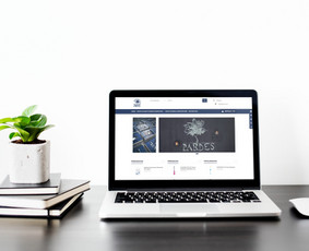Internetinių svetainių, e. shop kūrimas / UAB Interateitis / Darbų pavyzdys ID 1137979