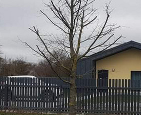 Aeravimas (skarifikavimas ) Žolės Pjovimas, / SODO DARBAI / Darbų pavyzdys ID 1139567