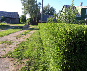 Gyvatvorių karpymas