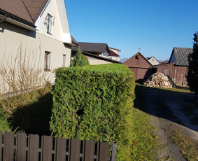 Aeravimas (skarifikavimas ) Žolės Pjovimas, / SODO DARBAI / Darbų pavyzdys ID 1139689