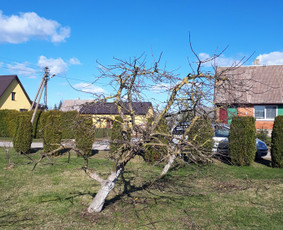 Aeravimas (skarifikavimas ) Žolės Pjovimas, / SODO DARBAI / Darbų pavyzdys ID 1139753