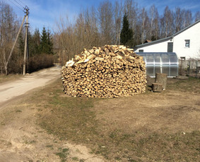Vaismedžių genėjimas.aeracija. Gyvatvorių karpymas. Malkos. / Rolandas Surdokas / Darbų pavyzdys ID 1143489