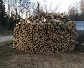 Vaismedžių genėjimas.aeracija. Gyvatvorių karpymas. Malkos. / Rolandas Surdokas / Darbų pavyzdys ID 1143491
