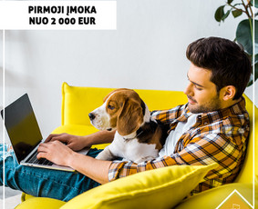 #1socialinių tinklų marketingas Facebook, Instagram, reklama / Austė Lapė / Darbų pavyzdys ID 1143905