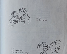 Danų kalbos kursai, pamokos - Danų kalbos mokymai/ vertimai - 3