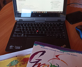 Danų kalbos kursai, pamokos - Danų kalbos mokymai/ vertimai - 1